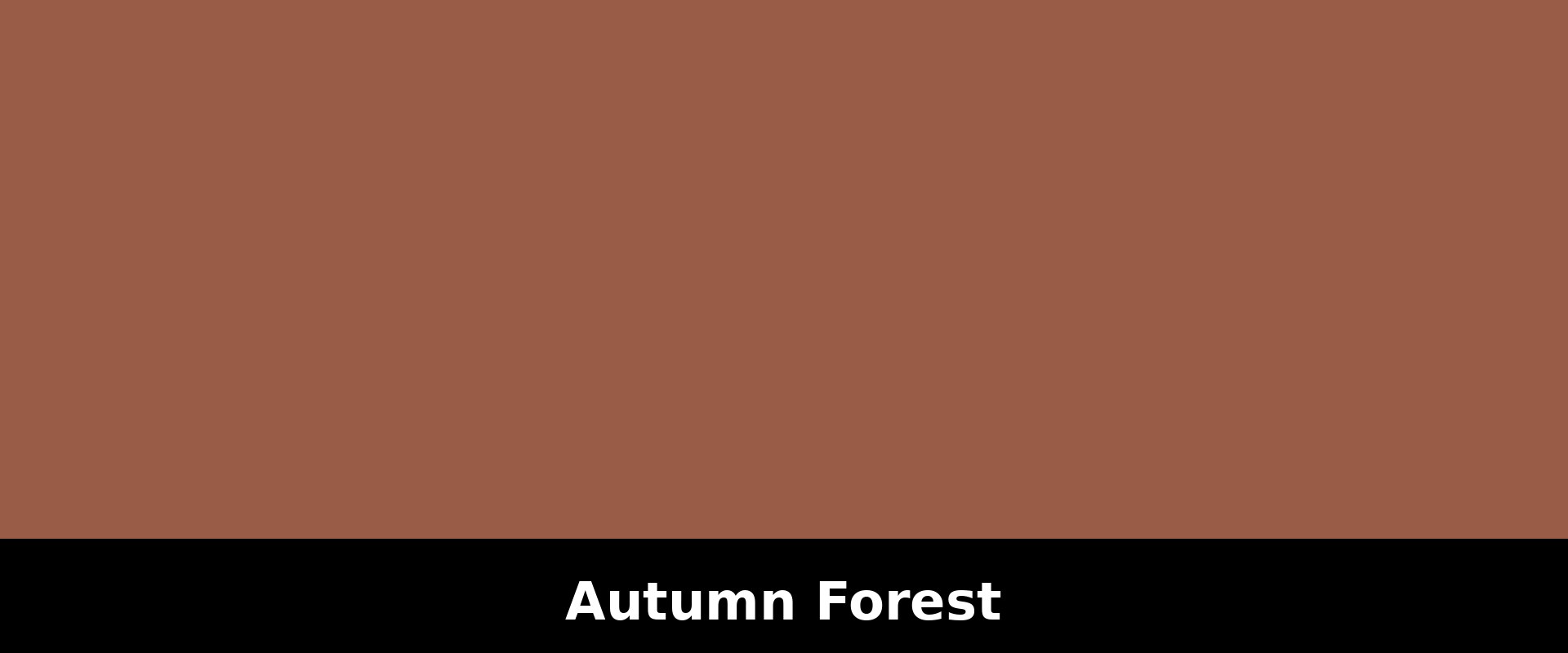 Autumn forest path