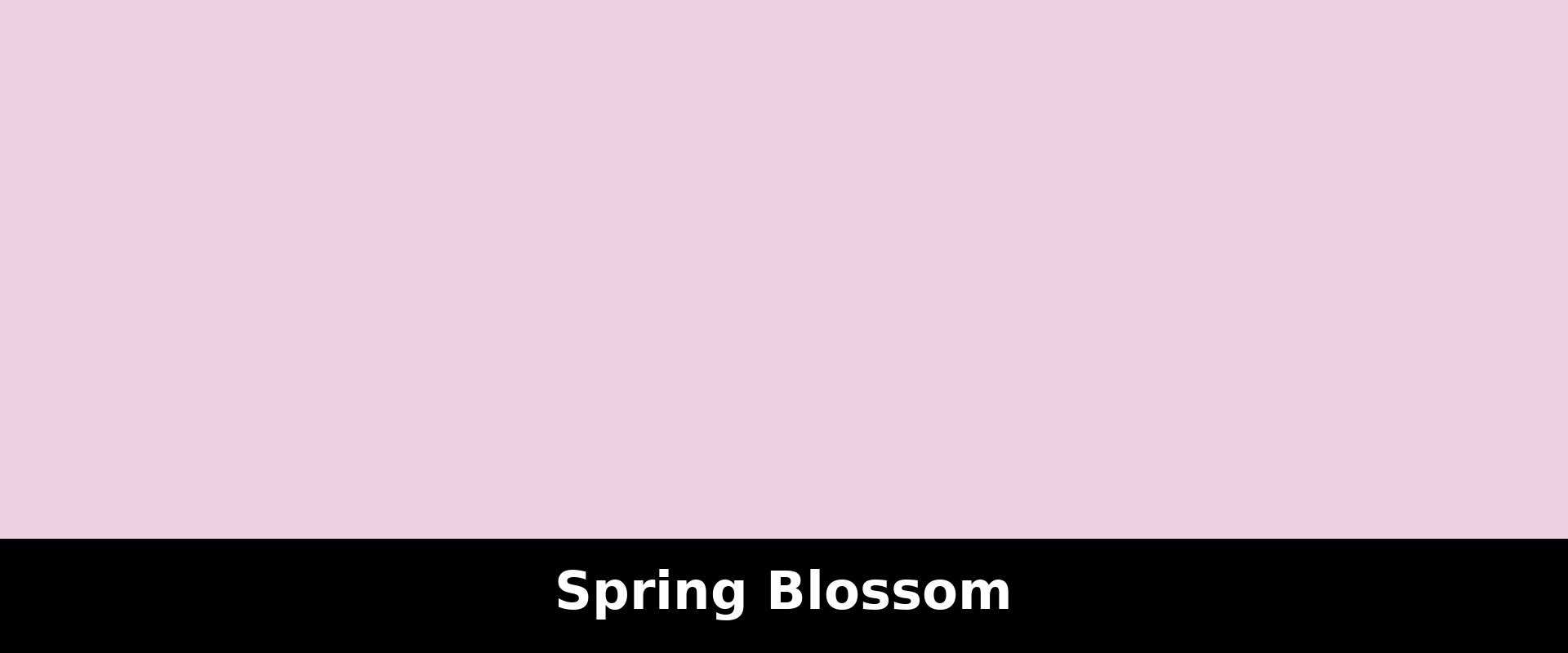 Spring blossoms